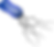 Bartonella henselae