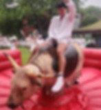 Lifelike Rodeo mechanical bull ride