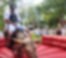 Lifelike Rodeo mechanical bull ride