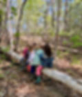 b0378ed0-d4fa-40ed-b1a5-928eb6ba0981.JPG