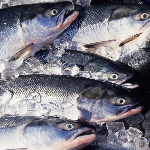 Thumbnail: PolarPower