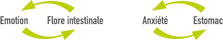 shema-emotion-flore.gif