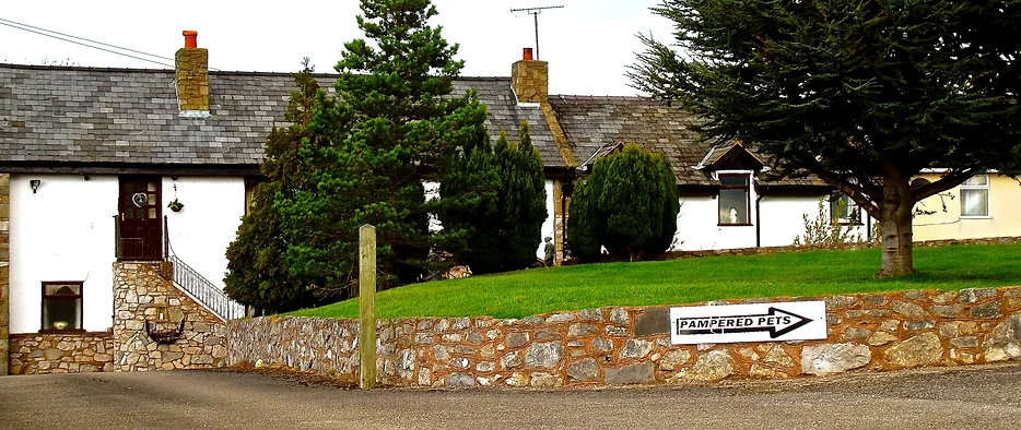 pampered pets cattery