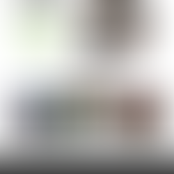 Neuropeak Pro Home Page | Neuropeak Pro