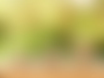 Don't Leave Money on the Table: Maximizing Gift Matching