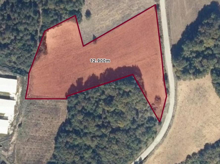 الصورة المصغرة: أرض زراعية  للبيع في سكاريا قيفا