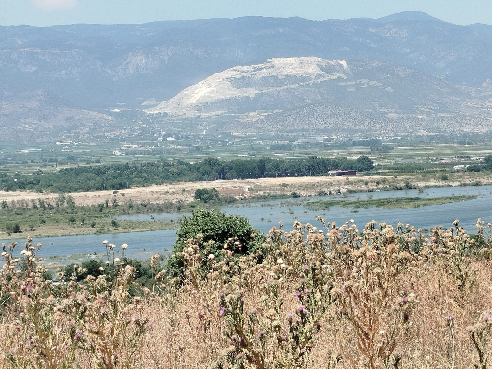 أرض زراعية  للبيع في سكاريا قيفا