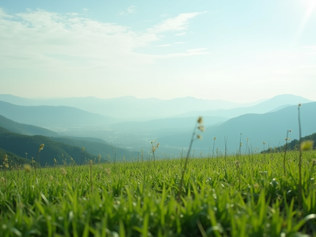 شراء أرض في سكاريا تركيا بسهولة