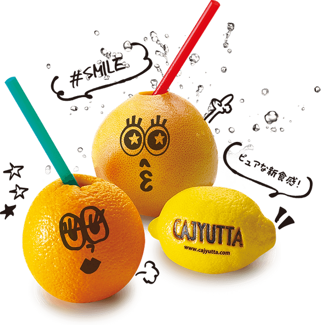 CAJYUTTA 手動式果物絞り器 CAJYUTTA｜カジュッタ公式−グレープフルーツ生搾り機