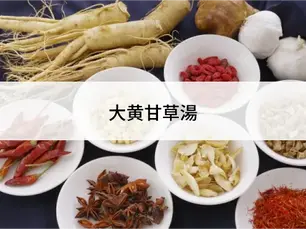 大黄甘草湯（だいおうかんぞうとう）/漢方