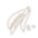 葉のイラスト