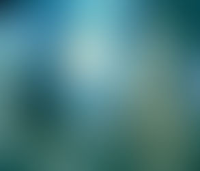 December 20th: Godzilla vs. Mechagodzilla II (1993)