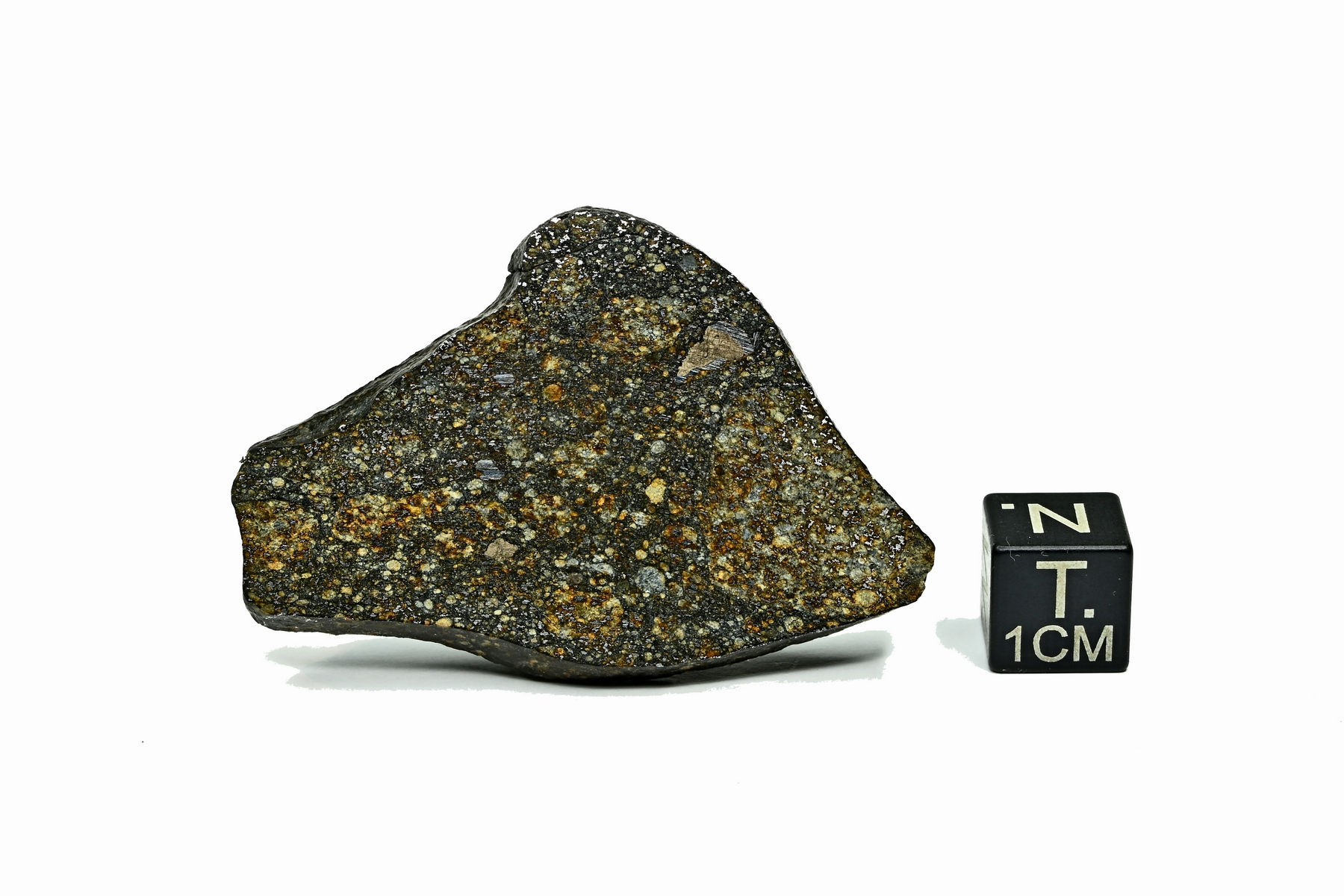 Dar el Kahal ( 14,050 g )