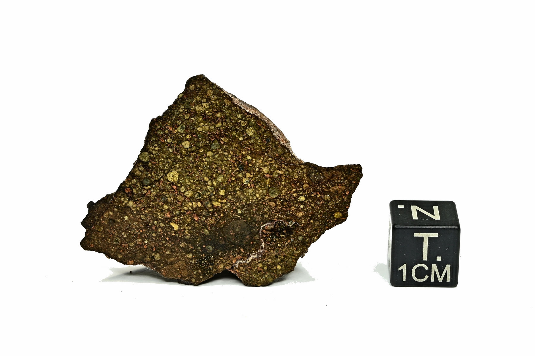 NWA 16279  ( 12,330 g )