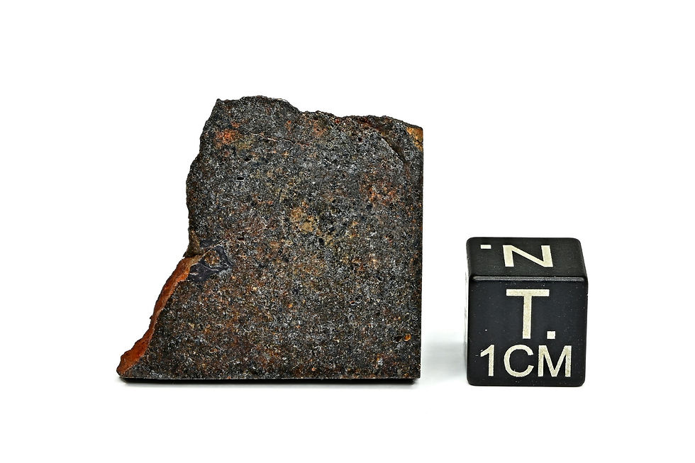 NWA 6834 ( 4,889 g )