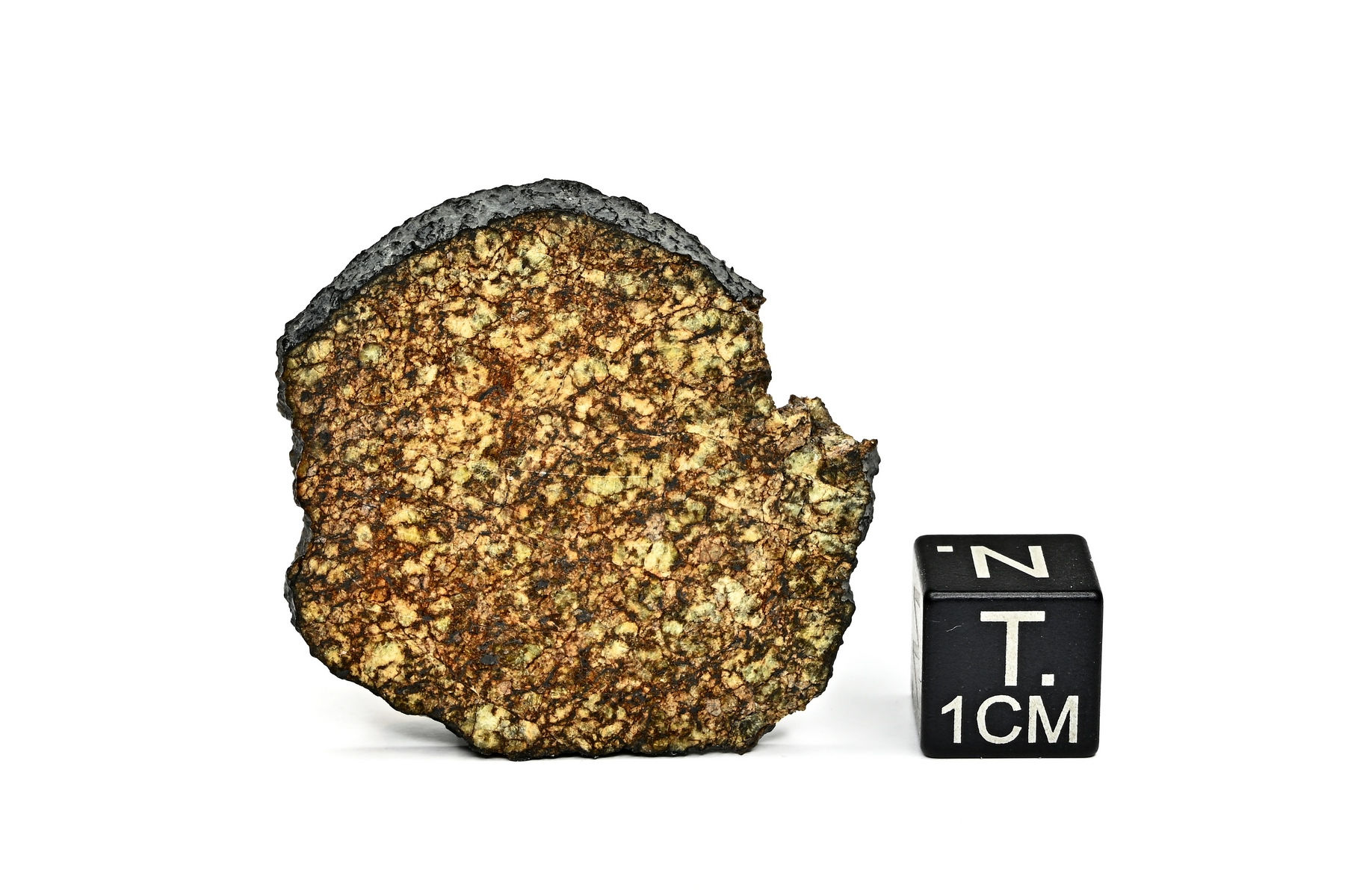 NWA 14898 ( 6,220 g )