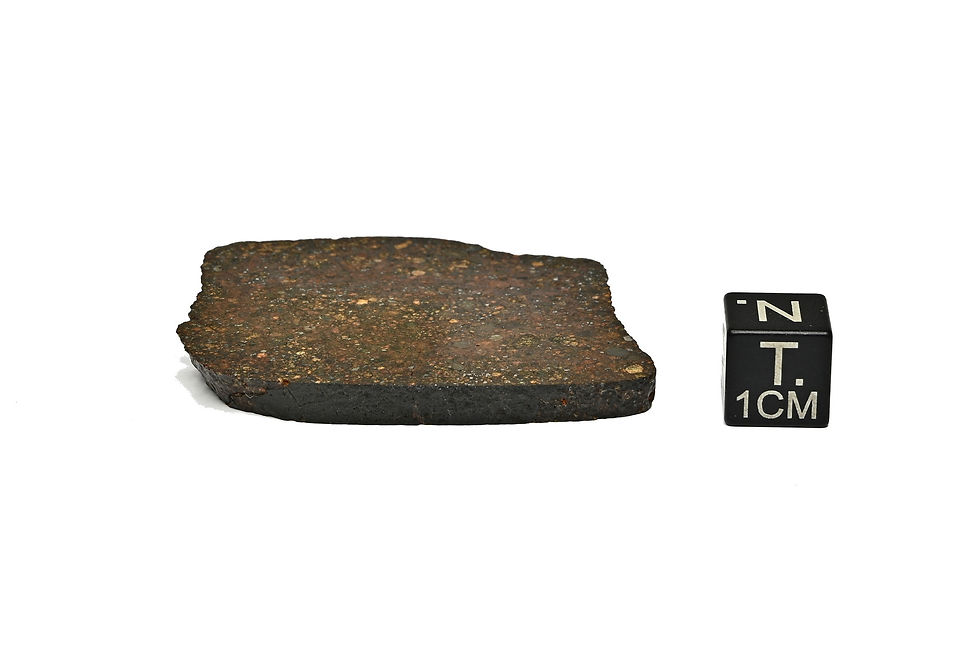 Thumbnail: NWA 17850 ( 19,260 g )