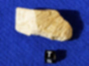 Steinheim # 26