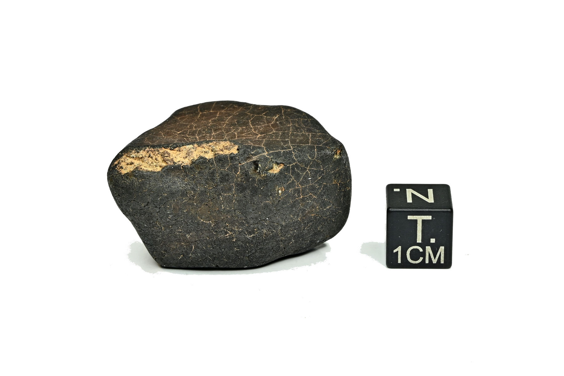 Mahbas Arraid  ( 39,765 g )