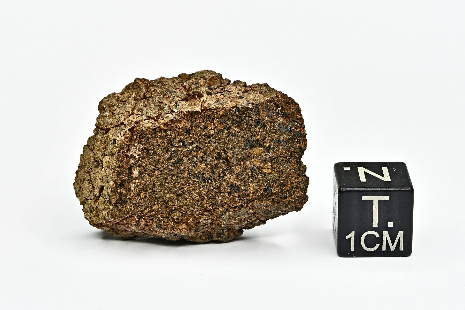 NWA 13274   ( 11,681 g )