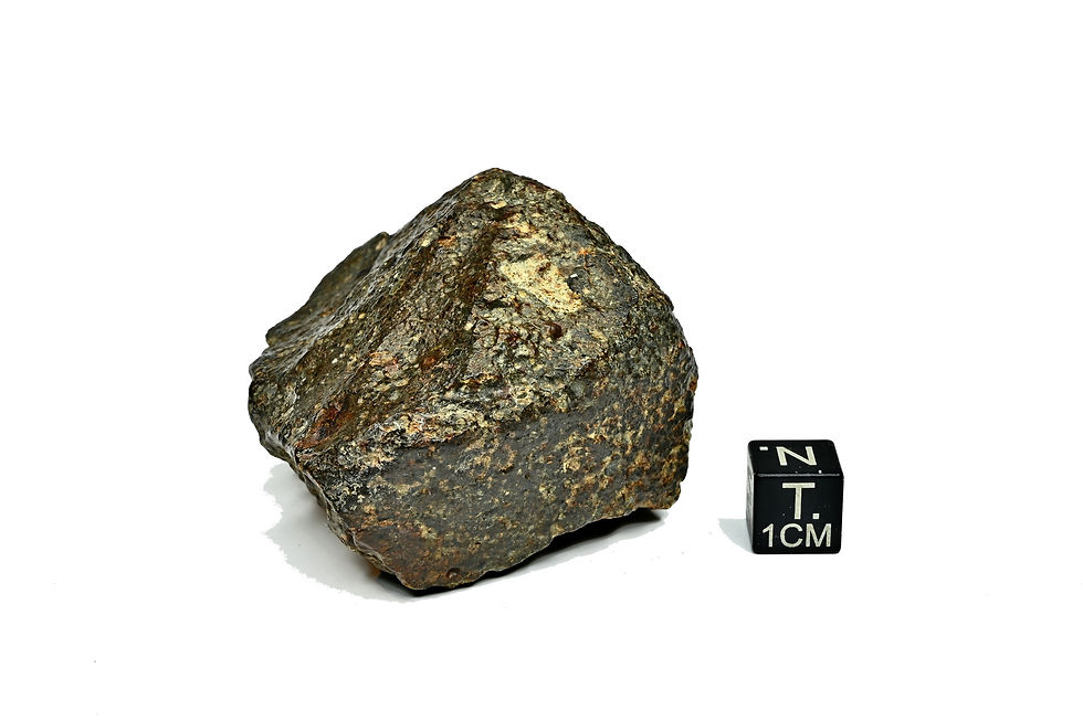 Miniaturbild: NWA 869  ( 168,5 g )