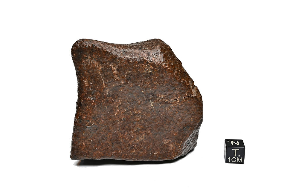 Miniaturbild: NWA Unclassified ( 590 g )