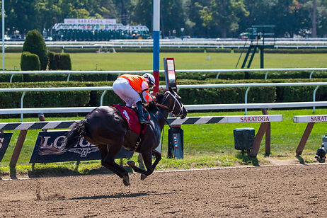 Photography Horse off ground gallop, Saratoga Raceway by Jonathan Rizzo