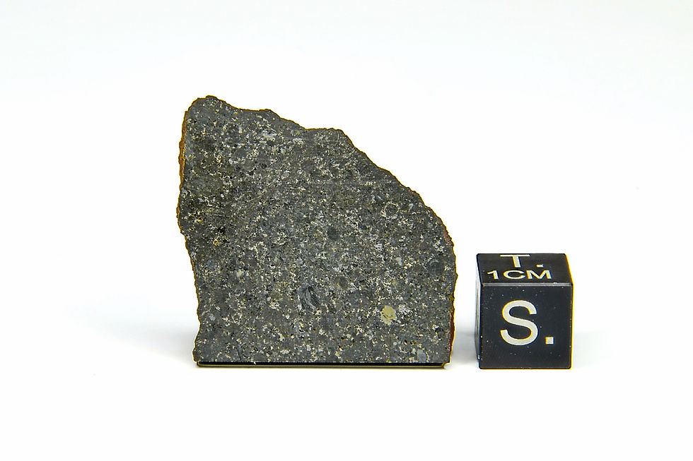 Tsarev (8,870 g)