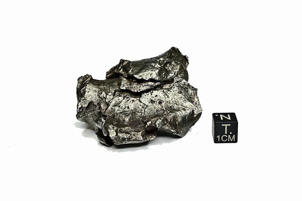 Miniaturbild: Sikhote Alin ( 169,6 g )