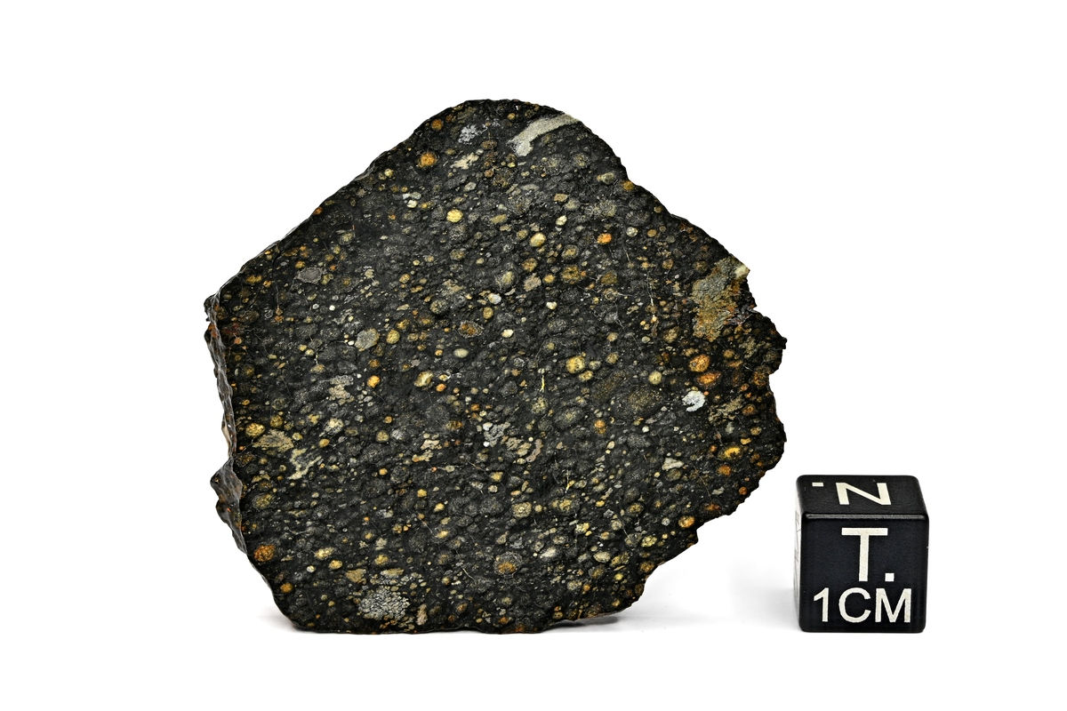 NWA 13014  (15,926 g)