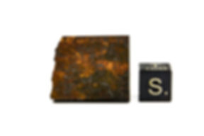 NWA 10870 (6,001 g)
