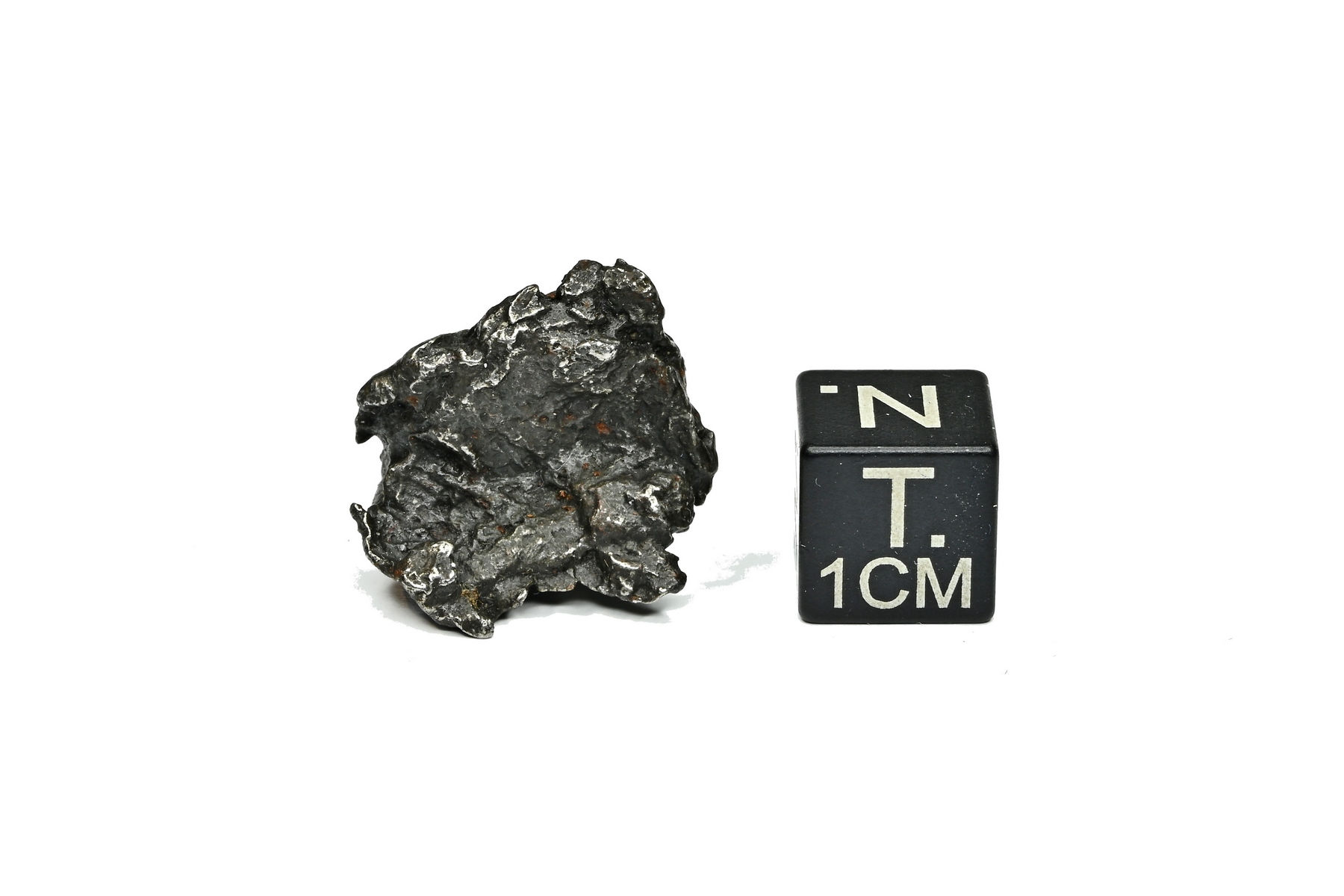 Sikhote Alin ( 6,630 g )