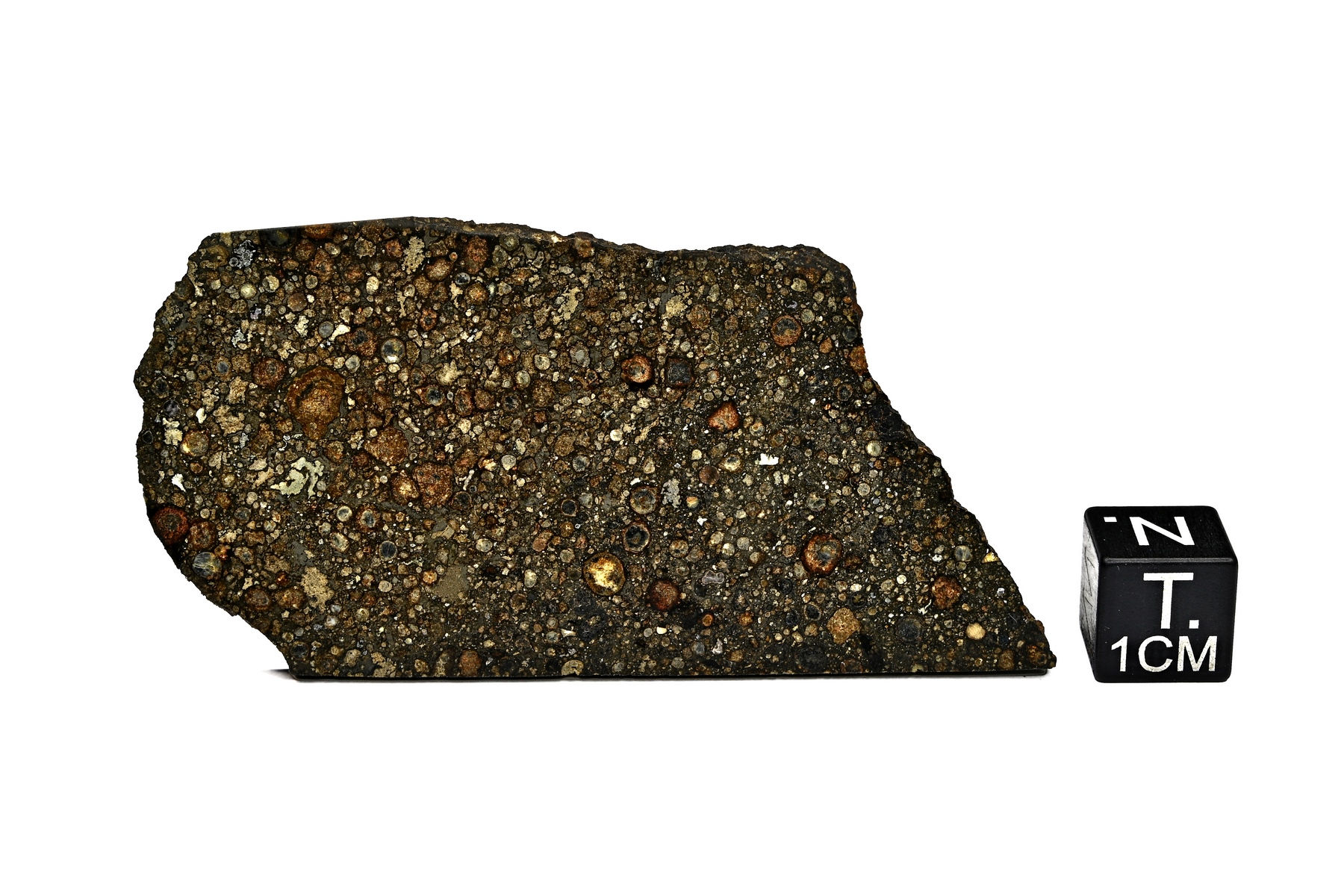 NWA 13933 (13,883 g)