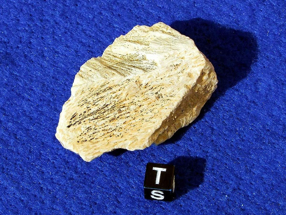Steinheim # 13