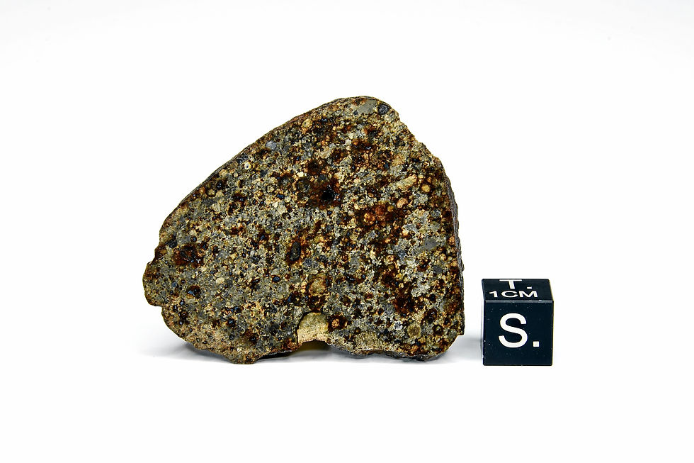 NWA 11635 (17,650 g)