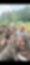 43B3F798-D2EF-4DF4-AF49-4A0BE6253100_1_101_o.jpeg