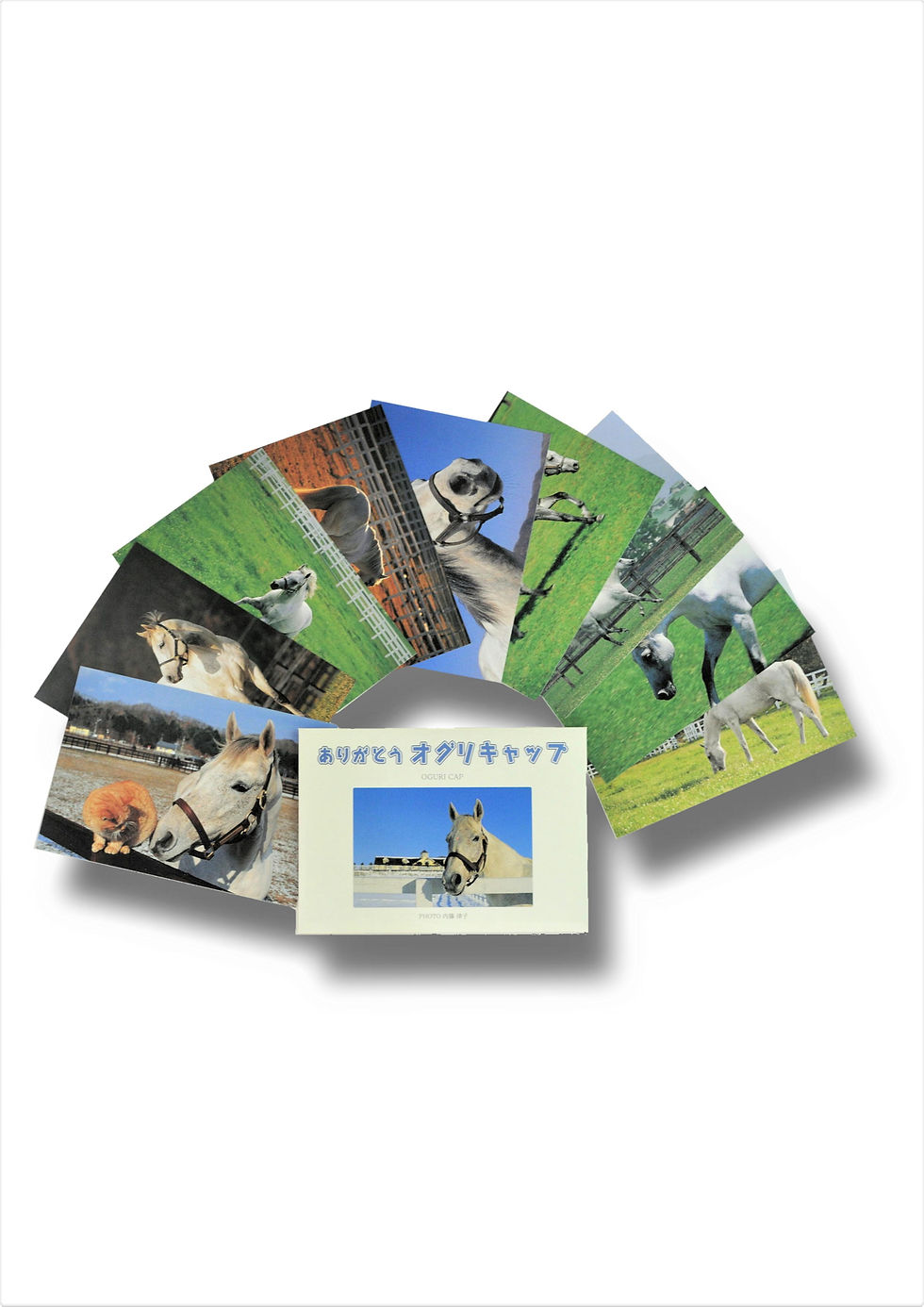 9枚セット「ありがとう オグリキャップ」