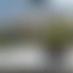 Projections démographiques : quels apports pour les politiques publiques ?