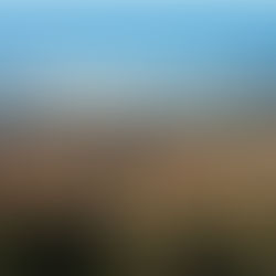 Point de conjoncture économique