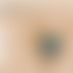 Privation de logement : quelle ampleur ?