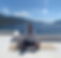 IMG_5598_edited.png