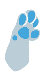 image17.png
