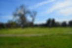 DSC_0325.JPG
