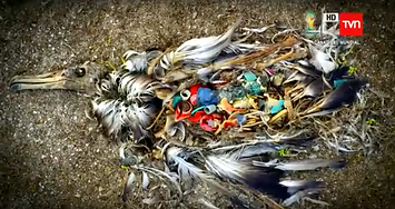 Captura de pantalla 2020-03-25 a las 15.