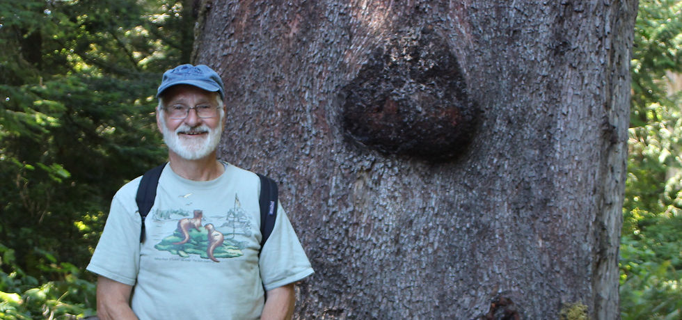 IMG_0363 - Copy (2).JPG