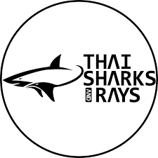 images (1).png
