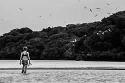 Middle Camp, Aldabra