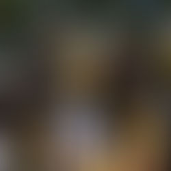 Poikien Superpesiksen puolivälierät vauhtiin torstaina – keskiviikkona suomensarjassa kiivas k