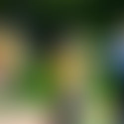 A-poikien Superpesis alkaa vappuaattona