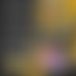 Avoimet perhepesis-harkat 10.12. klo 11.30!